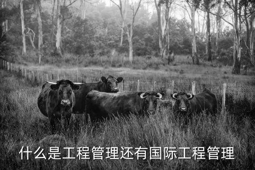 國際工程管理，國際工程管理專業(yè)如何啊