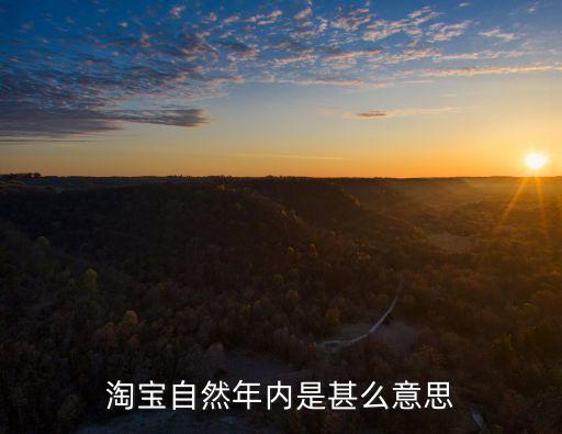 自然年度，一般文件中的每年是指每一個自然年度還是指每十二個月