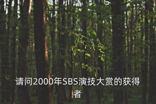 請(qǐng)問(wèn)2000年SBS演技大賞的獲得者