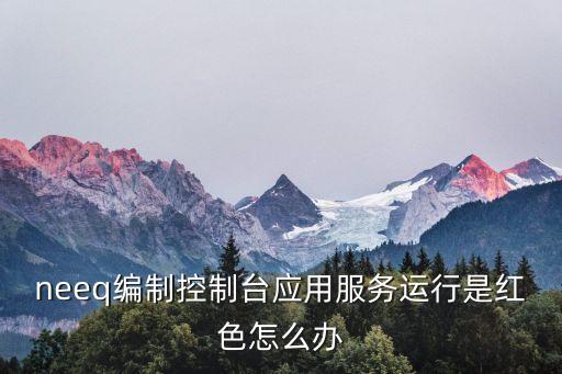 neeq編制控制臺(tái)應(yīng)用服務(wù)運(yùn)行是紅色怎么辦