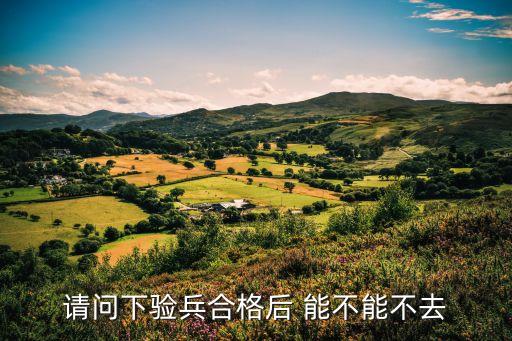 請問下驗兵合格后 能不能不去
