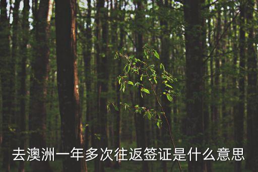 去澳洲一年多次往返簽證是什么意思