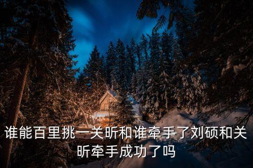 誰能百里挑一關(guān)昕和誰牽手了劉碩和關(guān)昕牽手成功了嗎