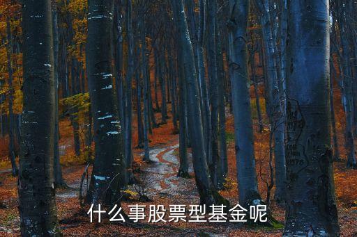 什么事股票型基金呢