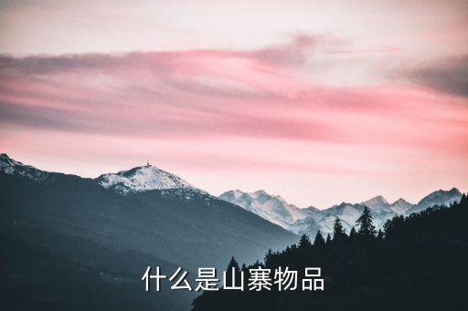 山寨產(chǎn)品，什么是山寨物品