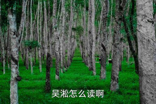 吳松，吳松在血油什么樓 殺死西門 慶等入后在墻上寫下了哪八個字  搜