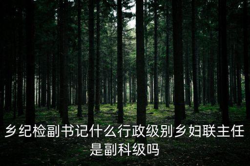 鄉(xiāng)鎮(zhèn)紀(jì)委副書記，鄉(xiāng)鎮(zhèn)組織員和紀(jì)委副書記級別那個高