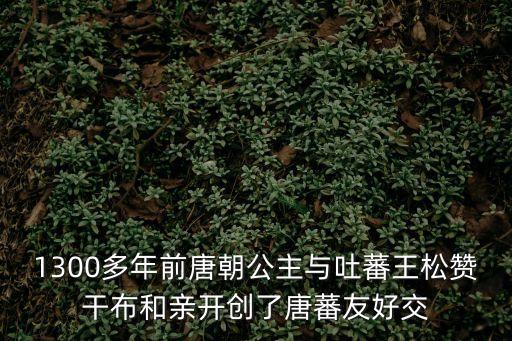 唐蕃和親，1300多年前唐朝公主與吐蕃王松贊干布和親開(kāi)創(chuàng)了唐蕃友好交