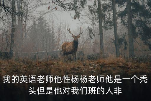 我的英語(yǔ)老師他性楊楊老師他是一個(gè)禿頭但是他對(duì)我們班的人非