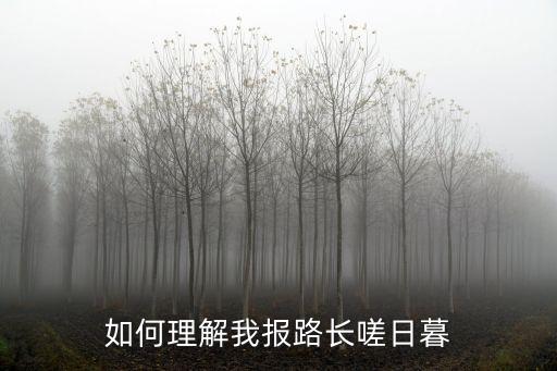 如何理解我報(bào)路長(zhǎng)嗟日暮