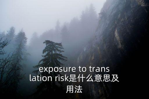exposure to translation risk是什么意思及用法