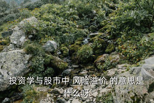 投資學與股市中 風險溢價 的意思是什么呀