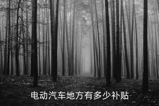 深圳新能源補貼，關(guān)于新能源汽車補貼政策的問題