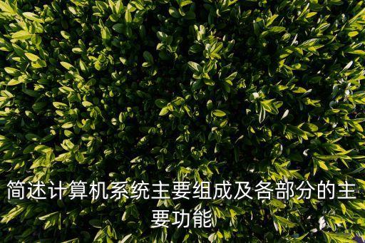計(jì)算機(jī)信息系統(tǒng)，完整的計(jì)算機(jī)系統(tǒng)包括哪些
