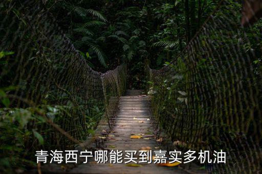 青海西寧哪能買到嘉實多機油
