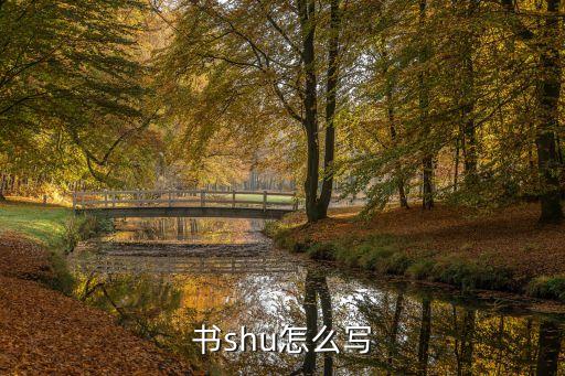書大寫，書字的大寫