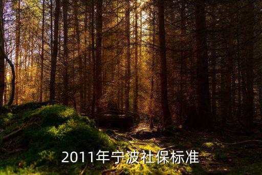 2011年寧波社保標(biāo)準(zhǔn)