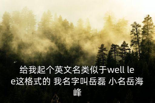 岳磊，給我起個英文名類似于well lee這格式的 我名字叫岳磊 小名岳海峰
