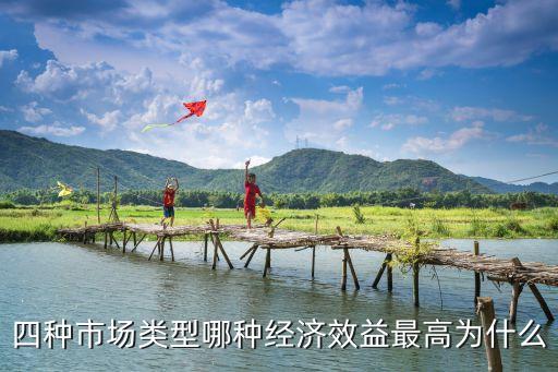 四種市場類型哪種經(jīng)濟效益最高為什么