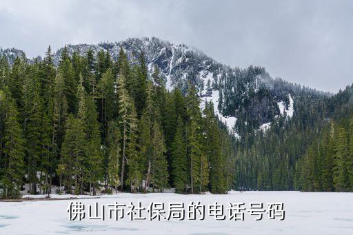 佛山社保局咨詢電話，佛山市勞動(dòng)和保障局投訴電話是多少