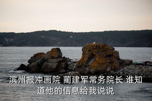 濱州報(bào)沖畫院 藺建軍常務(wù)院長 誰知道他的信息給我說說