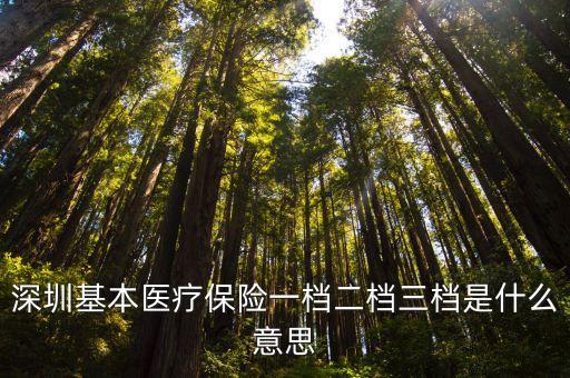 深圳基本醫(yī)療保險一檔二檔三檔是什么意思
