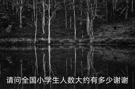 請(qǐng)問全國(guó)小學(xué)生人數(shù)大約有多少謝謝