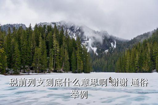 稅前列支，稅前列支到底什么意思啊 謝謝 通俗舉例