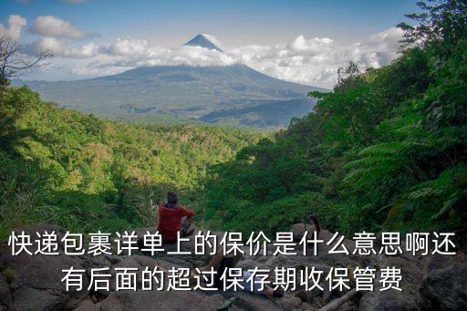 快遞包裹詳單上的保價是什么意思啊還有后面的超過保存期收保管費