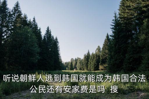 朝鮮人逃跑出國的后果，聽說朝鮮人逃到韓國就能成為韓國合法公民還有安家費(fèi)是嗎  搜