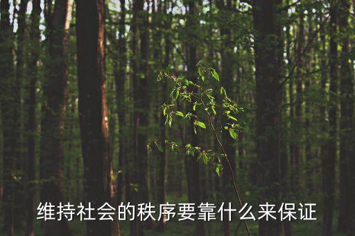 維持秩序，維持秩序怎么造句