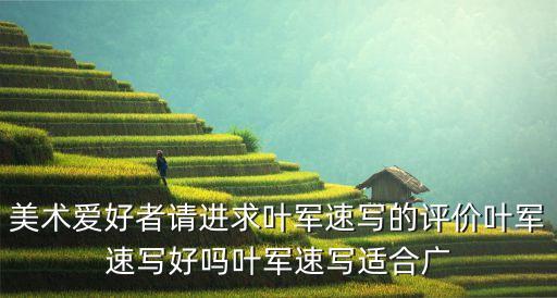 美術(shù)愛好者請進求葉軍速寫的評價葉軍速寫好嗎葉軍速寫適合廣