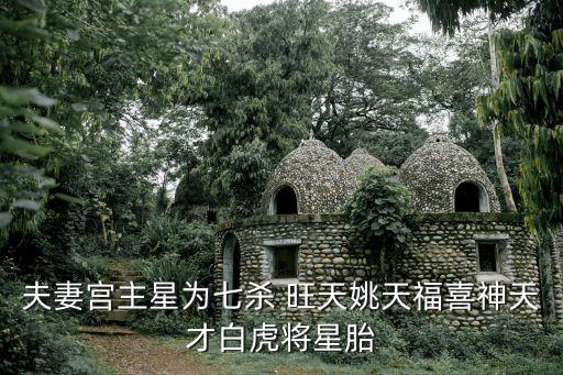 夫妻宮主星為七殺 旺天姚天福喜神天才白虎將星胎