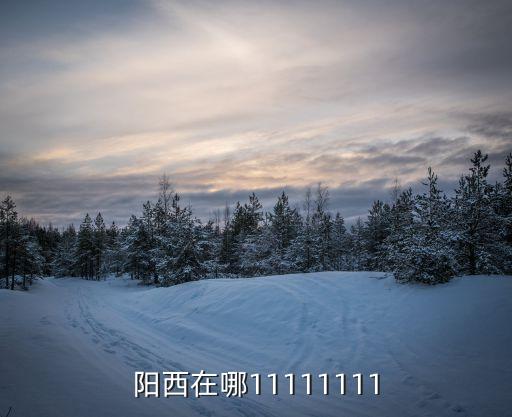 陽西在哪11111111