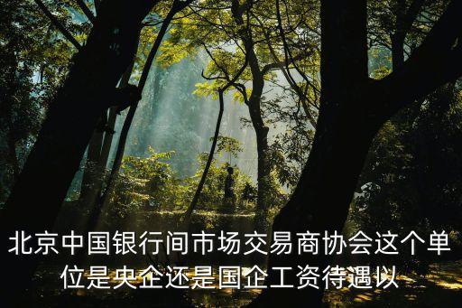 北京中國(guó)銀行間市場(chǎng)交易商協(xié)會(huì)這個(gè)單位是央企還是國(guó)企工資待遇以