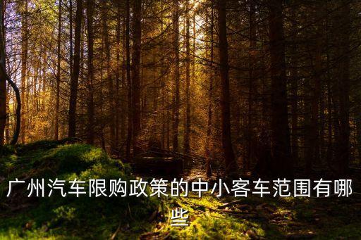 汽車(chē)限購(gòu)，廣州汽車(chē)限購(gòu)政策的中小客車(chē)范圍有哪些