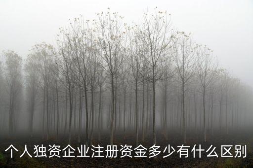 個(gè)人獨(dú)資企業(yè)注冊(cè)資金多少有什么區(qū)別