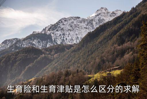 生育險(xiǎn)和生育津貼是怎么區(qū)分的求解