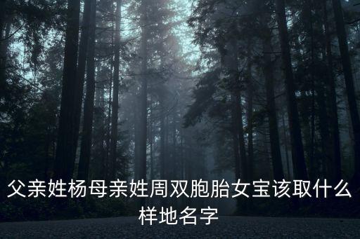 父親姓楊母親姓周雙胞胎女寶該取什么樣地名字