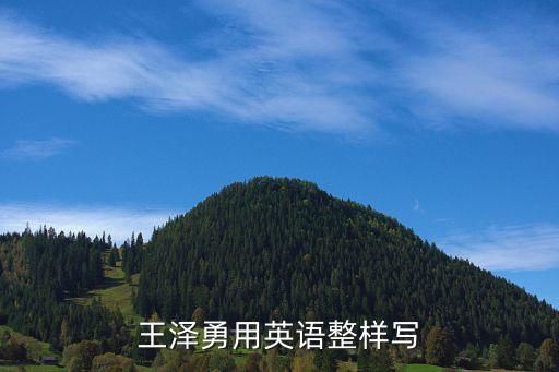 王澤勇用英語整樣寫