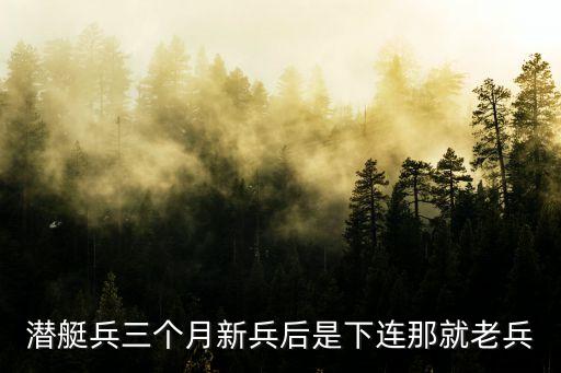 潛艇兵三個月新兵后是下連那就老兵