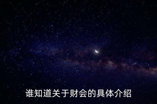 誰知道關(guān)于財(cái)會(huì)的具體介紹