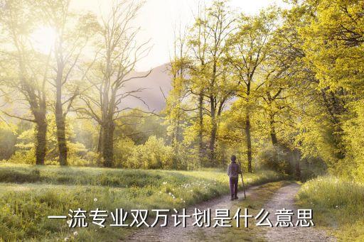 一流專業(yè)雙萬計劃是什么意思