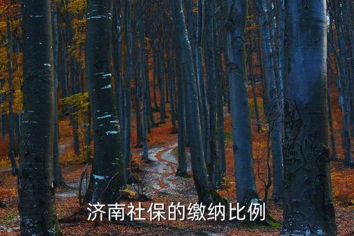 濟南社保繳費基數(shù)，濟南市五險具體金額大概是多少