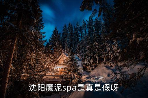 沈陽魔泥spa是真是假呀