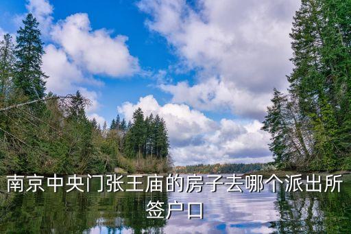 南京中央門張王廟的房子去哪個派出所簽戶口