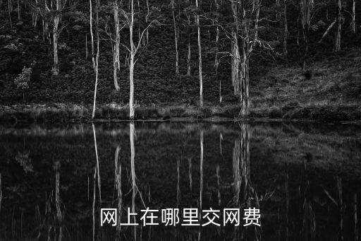 網(wǎng)上繳費，中國移動怎么辦網(wǎng)上交費