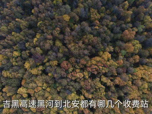 吉黑高速，吉黑高速黑河到北安都有哪幾個(gè)收費(fèi)站
