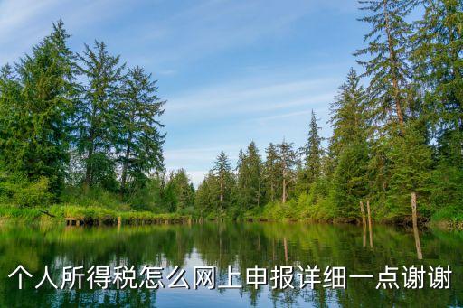 個(gè)人所得稅怎么申報(bào)，個(gè)人所得稅網(wǎng)上怎樣申報(bào)