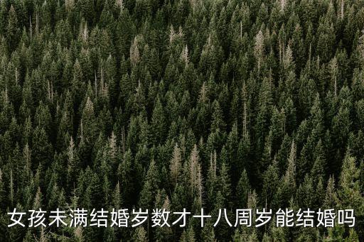 女孩未滿結(jié)婚歲數(shù)才十八周歲能結(jié)婚嗎